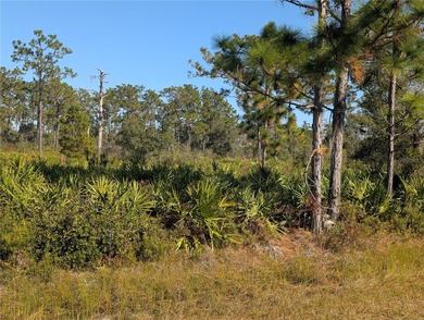 Come build your forever home on this One-Acre lot that located on Indian Lake Estates Golf and Country Club in Florida - for sale on GolfHomes.com, golf home, golf lot