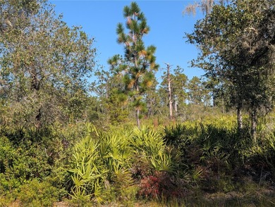 Come build your forever home on this One-Acre lot that located on Indian Lake Estates Golf and Country Club in Florida - for sale on GolfHomes.com, golf home, golf lot