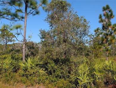 Come build your forever home on this One-Acre lot that located on Indian Lake Estates Golf and Country Club in Florida - for sale on GolfHomes.com, golf home, golf lot