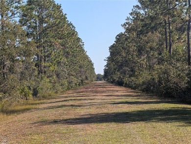 Come build your forever home on this One-Acre lot that located on Indian Lake Estates Golf and Country Club in Florida - for sale on GolfHomes.com, golf home, golf lot