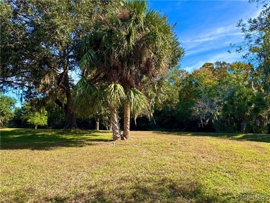 Cleared and ready for your new home! This beautiful lot in The on Point O Woods Golf Club in Florida - for sale on GolfHomes.com, golf home, golf lot