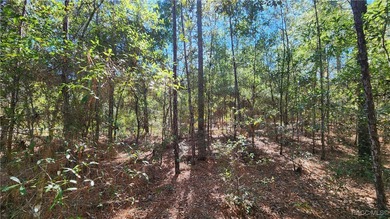 Beautiful homesite on smooth paved road in the growing on Citrus Springs Country Club in Florida - for sale on GolfHomes.com, golf home, golf lot