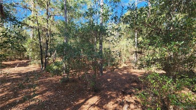 Beautiful homesite on smooth paved road in the growing on Citrus Springs Country Club in Florida - for sale on GolfHomes.com, golf home, golf lot