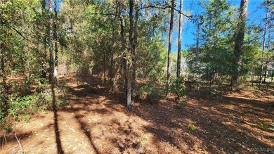 Beautiful homesite on smooth paved road in the growing on Citrus Springs Country Club in Florida - for sale on GolfHomes.com, golf home, golf lot