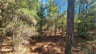 Beautiful homesite on smooth paved road in the growing on Citrus Springs Country Club in Florida - for sale on GolfHomes.com, golf home, golf lot