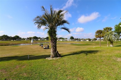 If you do not want to live in The Villages, Spruce Creek South on The Links of Spruce Creek in Florida - for sale on GolfHomes.com, golf home, golf lot