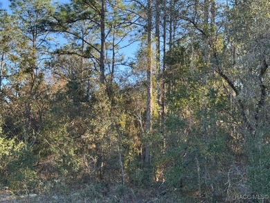 Come home to Citrus Springs on this beautiful 0.23-acre (80x125) on Pine Ridge Community Golf and Country Club in Florida - for sale on GolfHomes.com, golf home, golf lot