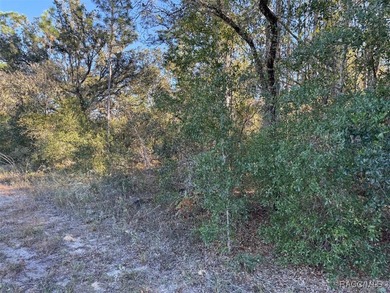 Come home to Citrus Springs on this beautiful 0.23-acre (80x125) on Pine Ridge Community Golf and Country Club in Florida - for sale on GolfHomes.com, golf home, golf lot