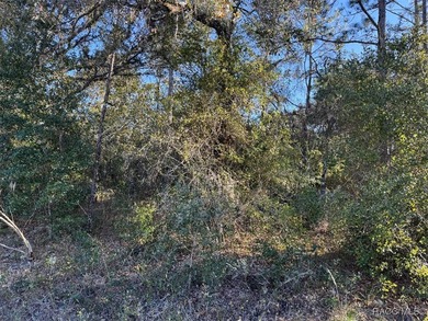 Come home to Citrus Springs on this beautiful 0.23-acre (80x125) on Pine Ridge Community Golf and Country Club in Florida - for sale on GolfHomes.com, golf home, golf lot