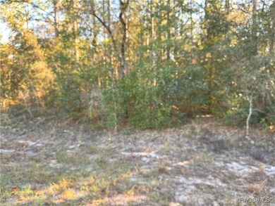 Come home to Citrus Springs on this beautiful 0.23-acre (80x125) on Pine Ridge Community Golf and Country Club in Florida - for sale on GolfHomes.com, golf home, golf lot