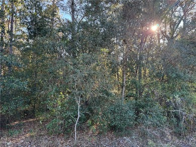 Come home to Citrus Springs on this beautiful 0.23-acre (80x125) on Pine Ridge Community Golf and Country Club in Florida - for sale on GolfHomes.com, golf home, golf lot