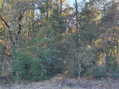 Come home to Citrus Springs on this beautiful 0.23-acre (80x125) on Pine Ridge Community Golf and Country Club in Florida - for sale on GolfHomes.com, golf home, golf lot