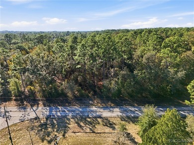 Come home to Citrus Springs on this beautiful 0.23-acre (80x125) on Pine Ridge Community Golf and Country Club in Florida - for sale on GolfHomes.com, golf home, golf lot