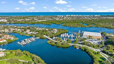 Experience effortless luxury and serene golf course views on the on Jonathans Landing Golf Club in Florida - for sale on GolfHomes.com, golf home, golf lot