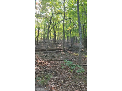 Gorgeous .96 acre lot in Big Canoe! Gentle hill where it meets on Big Canoe Golf Club - Cherokee in Georgia - for sale on GolfHomes.com, golf home, golf lot