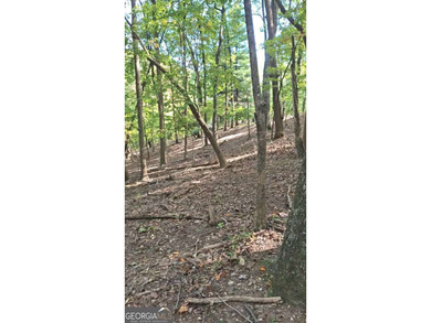 Gorgeous .96 acre lot in Big Canoe! Gentle hill where it meets on Big Canoe Golf Club - Cherokee in Georgia - for sale on GolfHomes.com, golf home, golf lot
