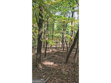 Gorgeous .96 acre lot in Big Canoe! Gentle hill where it meets on Big Canoe Golf Club - Cherokee in Georgia - for sale on GolfHomes.com, golf home, golf lot