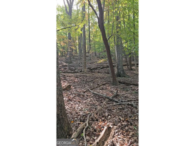 Gorgeous .96 acre lot in Big Canoe! Gentle hill where it meets on Big Canoe Golf Club - Cherokee in Georgia - for sale on GolfHomes.com, golf home, golf lot