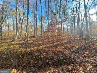 3339 Cherokee Court offers a rare opportunity to build your on Fairfield Plantation Golf and Country Club in Georgia - for sale on GolfHomes.com, golf home, golf lot
