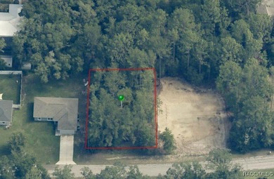 Build your dream home on this beautiful lot in desirable Citrus on Citrus Springs Country Club in Florida - for sale on GolfHomes.com, golf home, golf lot