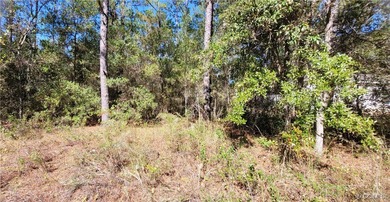 Build your dream home on this beautiful lot in desirable Citrus on Citrus Springs Country Club in Florida - for sale on GolfHomes.com, golf home, golf lot