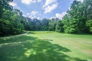 18 hole golf course with 146 +/- acres complete with a 6,400 on Greenview Golf Club in Illinois - for sale on GolfHomes.com, golf home, golf lot