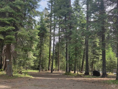 The ultimate outdoor enthusiast's dream, with two RV sites on Osprey Meadows at Tamarack Resort in Idaho - for sale on GolfHomes.com, golf home, golf lot