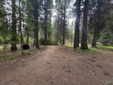 The ultimate outdoor enthusiast's dream, with two RV sites on Osprey Meadows at Tamarack Resort in Idaho - for sale on GolfHomes.com, golf home, golf lot