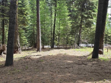 The ultimate outdoor enthusiast's dream, with two RV sites on Osprey Meadows at Tamarack Resort in Idaho - for sale on GolfHomes.com, golf home, golf lot