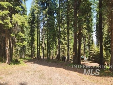 The ultimate outdoor enthusiast's dream, with two RV sites on Osprey Meadows at Tamarack Resort in Idaho - for sale on GolfHomes.com, golf home, golf lot