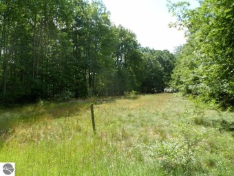 2 lots, one wooded & undeveloped (Lot 358) and one cleared (lot on The Pines Golf Course at Lake Isabella in Michigan - for sale on GolfHomes.com, golf home, golf lot