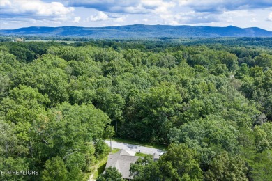 2 Bedroom + Bonus Room, 2 Bath Home in Lake Tansi - Move-In on Lake Tansi Village Country Club in Tennessee - for sale on GolfHomes.com, golf home, golf lot