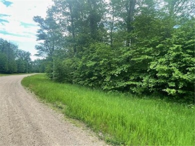 Plenty of wildlife, mature trees, and privacy galore on this on Lake Miltona Golf Club in Minnesota - for sale on GolfHomes.com, golf home, golf lot