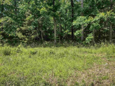 Affordable beautiful buildable lot in a premier resort community on Diamondhead Golf and Country Club in Arkansas - for sale on GolfHomes.com, golf home, golf lot