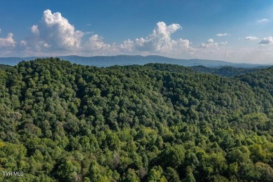 Looking to build, but do not want to go through the hassle of on Country Club of Bristol in Tennessee - for sale on GolfHomes.com, golf home, golf lot