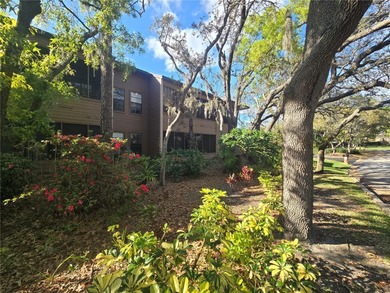 Discover the perfect blend of privacy, convenience, and on Innisbrook Resort and Golf Club in Florida - for sale on GolfHomes.com, golf home, golf lot