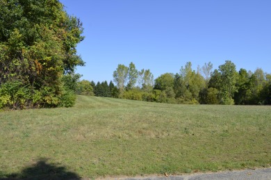 Presenting the 128 buildable lots available off scenic Lake on Island Hills Golf Club in Michigan - for sale on GolfHomes.com, golf home, golf lot