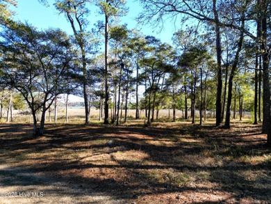 Set on more than half an acre, this surveyed and partially on Lockwood Folly Country Club in North Carolina - for sale on GolfHomes.com, golf home, golf lot