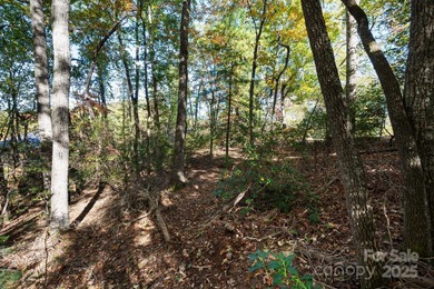 Experience refined mountain living at its finest within The on The Cliffs At Walnut Cove in North Carolina - for sale on GolfHomes.com, golf home, golf lot