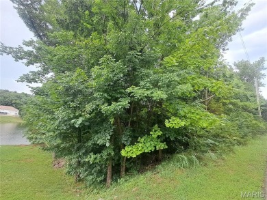 This is a beautiful lakefront lot on Winter Lake in the Raintree on Raintree Country Club in Missouri - for sale on GolfHomes.com, golf home, golf lot