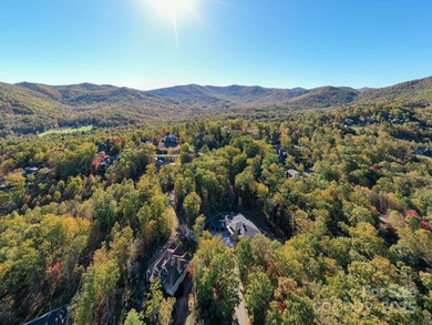 Experience refined mountain living at its finest within The on The Cliffs At Walnut Cove in North Carolina - for sale on GolfHomes.com, golf home, golf lot