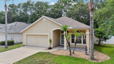New Paint! New Flooring! New Appliances! Just Waiting For Its on Royal St. Augustine Golf and Country Club in Florida - for sale on GolfHomes.com, golf home, golf lot