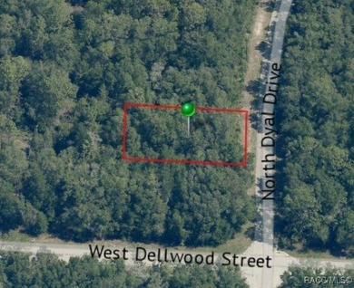 Buildable, flat lot in Citrus Springs (Seller will not accept on Citrus Springs Country Club in Florida - for sale on GolfHomes.com, golf home, golf lot