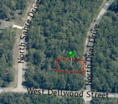 Buildable, flat lot in Citrus Springs (Seller will not accept on Citrus Springs Country Club in Florida - for sale on GolfHomes.com, golf home, golf lot