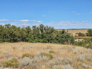 Escape to the foothills of Southern Colorado with this rare 1 on Hollydot Golf Course in Colorado - for sale on GolfHomes.com, golf home, golf lot