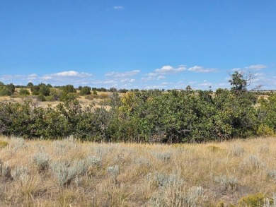 Escape to the foothills of Southern Colorado with this rare 1 on Hollydot Golf Course in Colorado - for sale on GolfHomes.com, golf home, golf lot