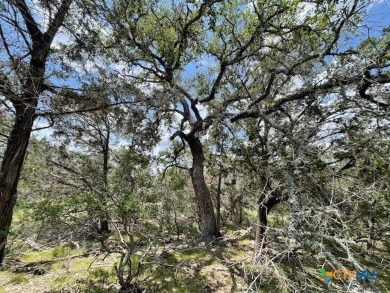 Wonderful 1.4 acre corner lot located in the gated Serenity Oaks on The Hawk Golf Club in Texas - for sale on GolfHomes.com, golf home, golf lot