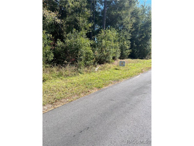 Your Florida Dream Homesite Awaits! Embrace the perfect blend of on Citrus Springs Country Club in Florida - for sale on GolfHomes.com, golf home, golf lot