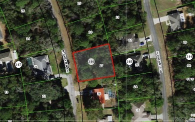 Your Florida Dream Homesite Awaits! Embrace the perfect blend of on Citrus Springs Country Club in Florida - for sale on GolfHomes.com, golf home, golf lot