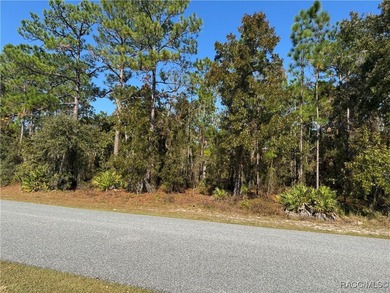 Beautiful .29-Acre Homesite in Sugar Mill Woods - Oak Village on Sugarmill Woods Golf and Country Club in Florida - for sale on GolfHomes.com, golf home, golf lot